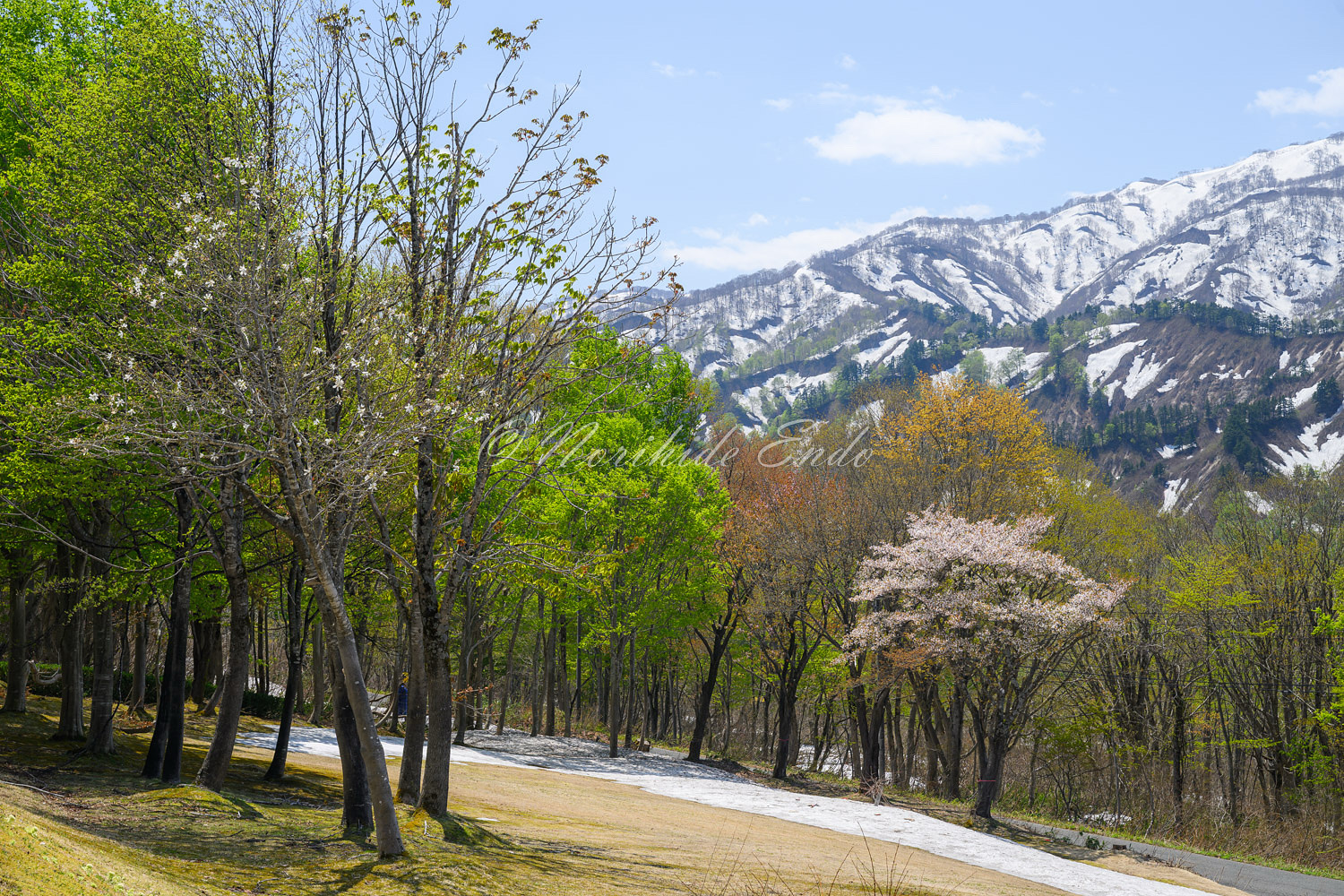 F2727A9E-6474-4837-8AFF-582650AAAB4B