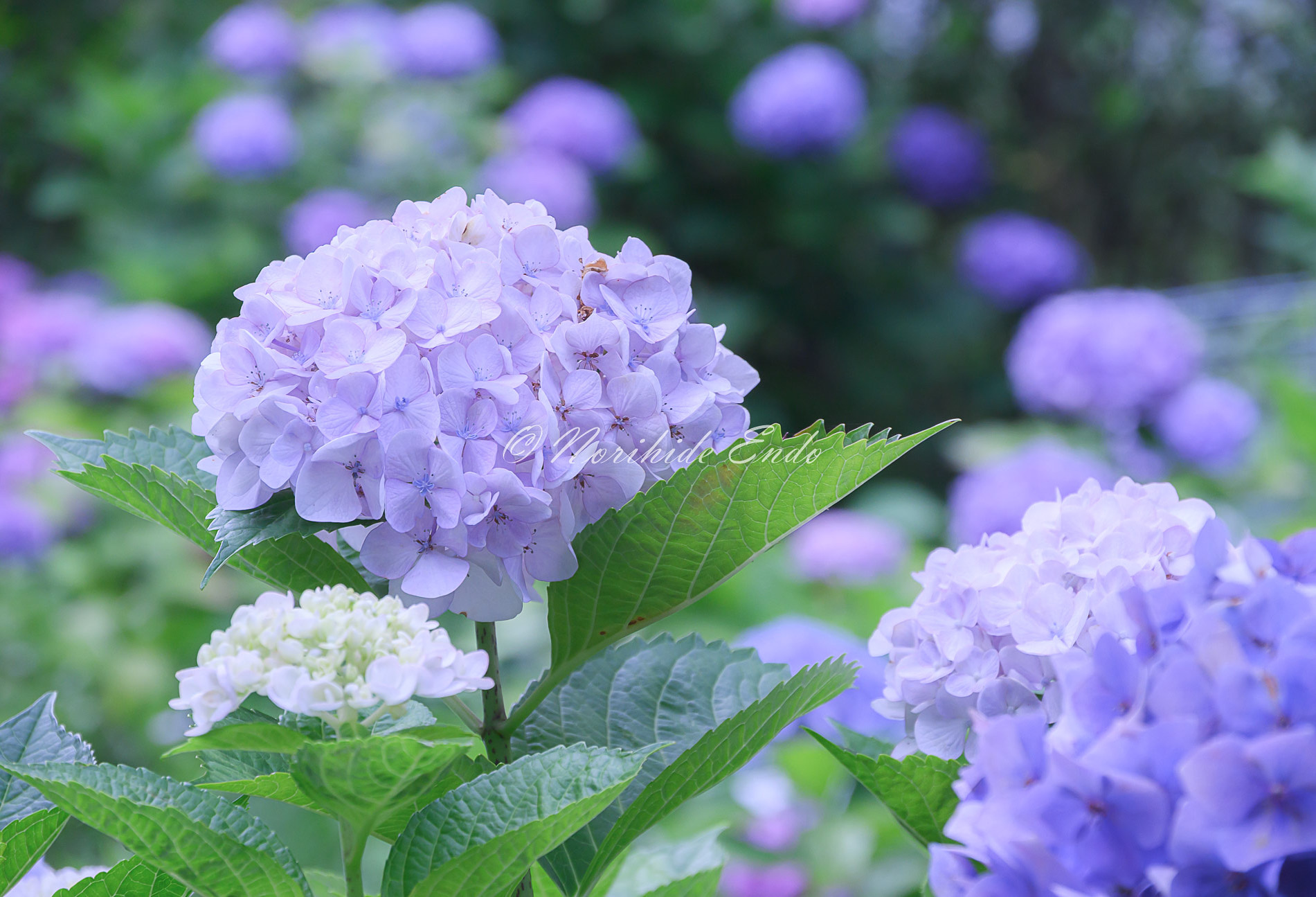 C71462AE-276F-497C-B313-BB42A31DADC7