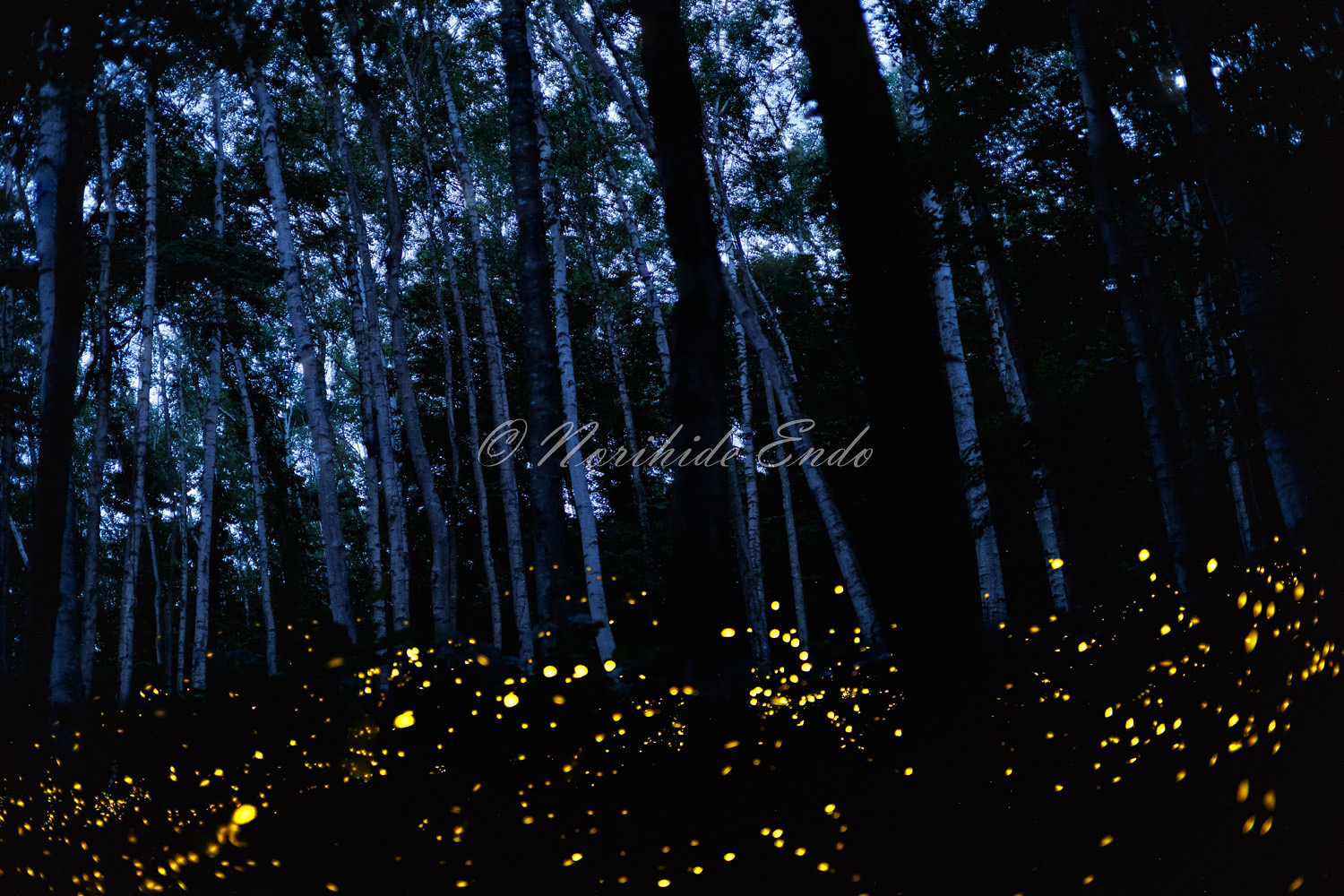 2F332C4B-B128-4D85-9423-5F8075D1968A