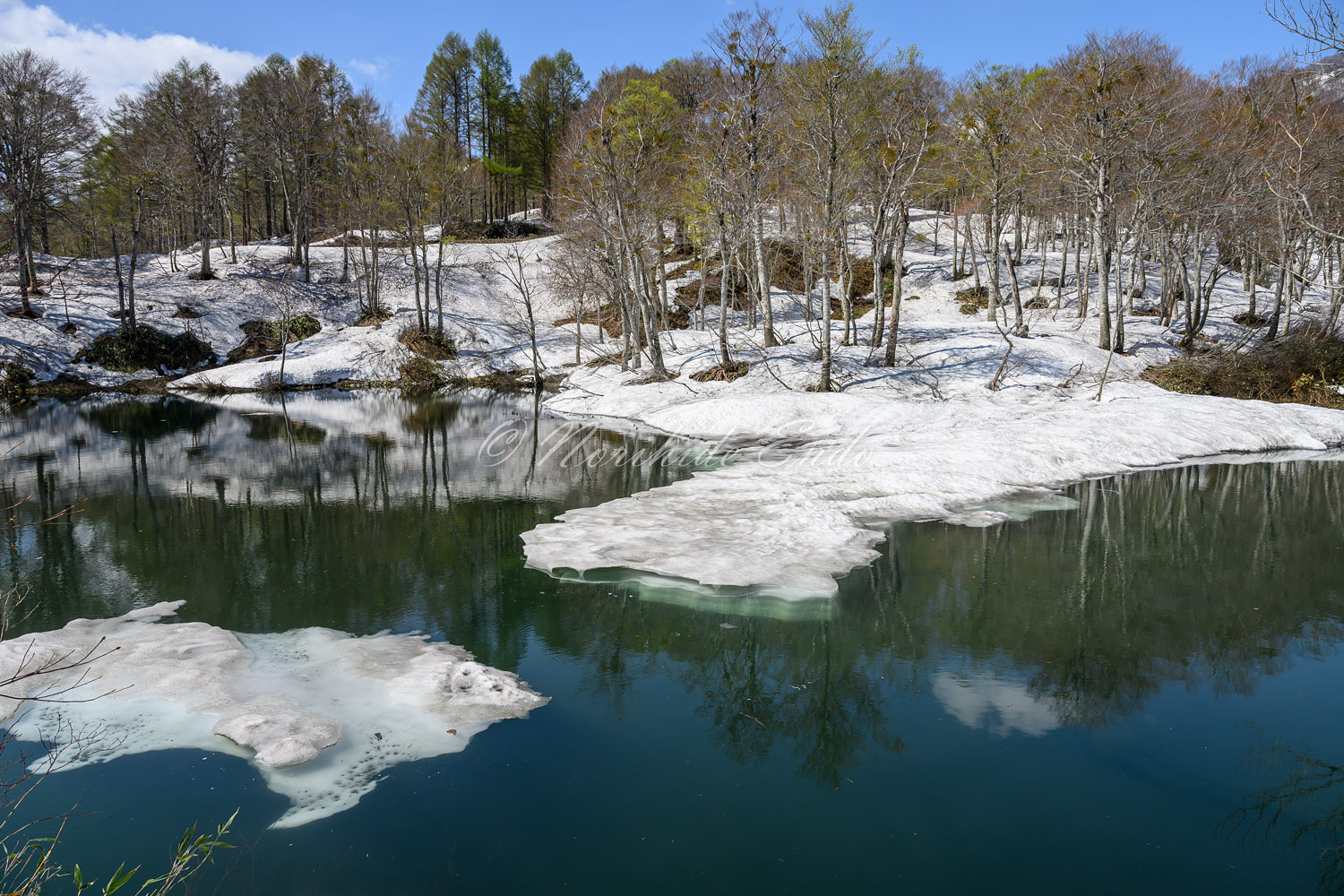 3D604D40-7E42-4C3D-8270-F9F56E46352C