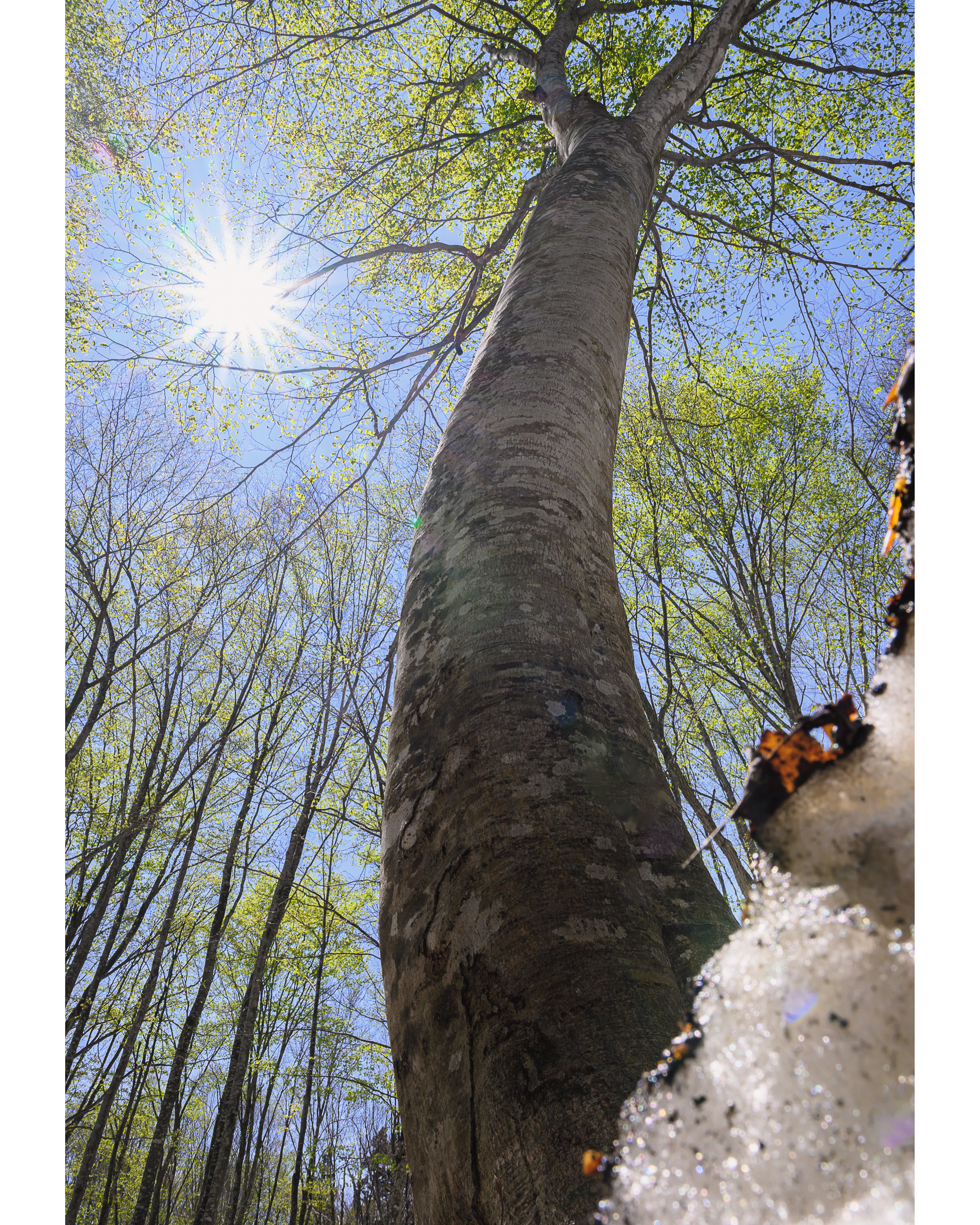 8A37658C-71D3-4D60-AB0C-E198CA56DF7A